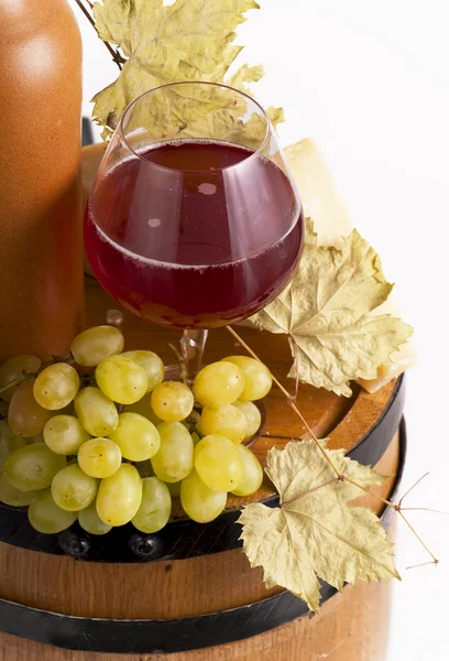 Fles wijn op de wijnstok — Stockfoto