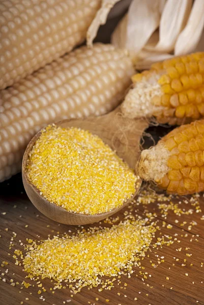 Dry yellow corn — Stock Photo, Image