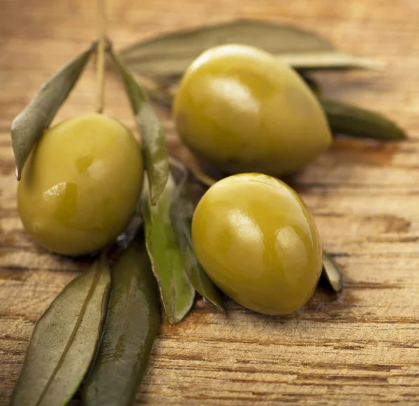 stock image Olive branch