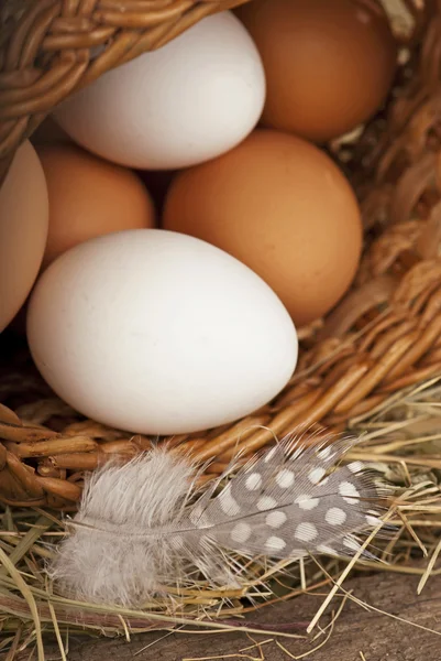 Eier im Eimer — Stockfoto