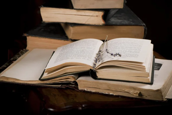 Geopend van oude boeken — Stockfoto