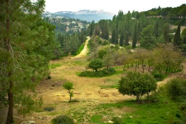 Jerusalem, İsrail