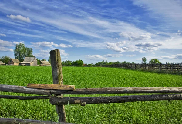 Groen veld, lente — Stockfoto