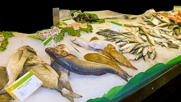 新鲜的鱼，在市场中的各种 — 图库照片