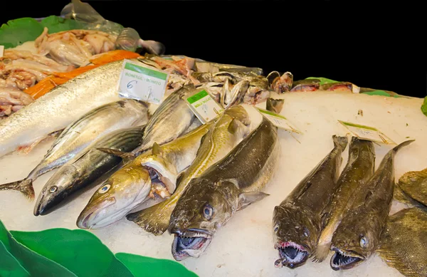 新鲜的鱼，在市场中的各种 — 图库照片