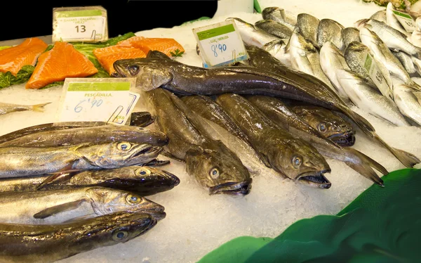 Variety of fresh fish in the market — Stock Photo, Image