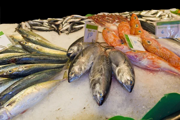 Variedad de pescado fresco en el mercado — Foto de Stock