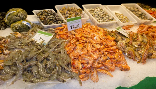 Camarão-rei no mercado — Fotografia de Stock