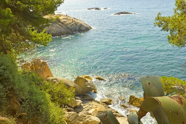 美しい海岸やコスタ ・ ブラバ (スペインの岩) — ストック写真
