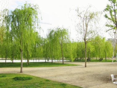 yeşil park