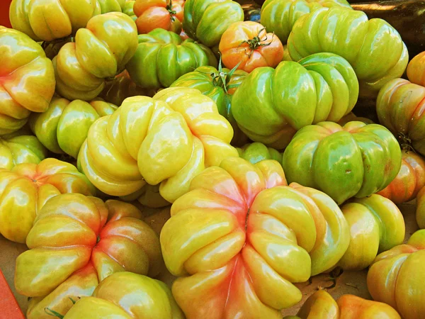 Pomodori verdi — Foto Stock