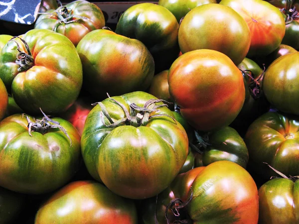 Červená a zelená rajčata — Stock fotografie