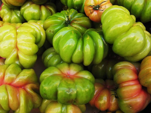 Zelená rajčata — Stock fotografie