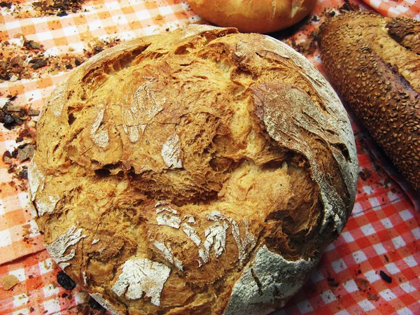 Brood stilleven — Stockfoto