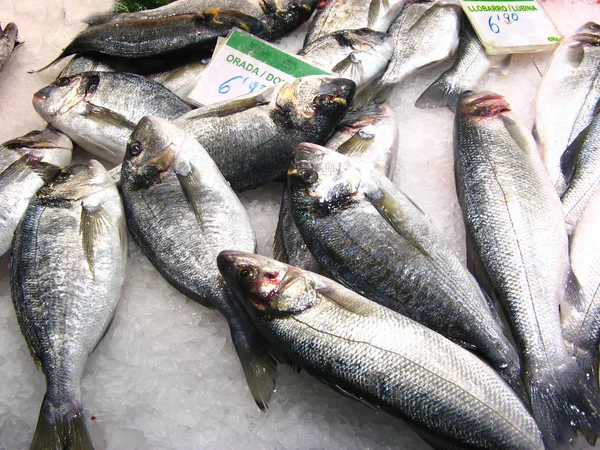 Balıklar piyasada — Stok fotoğraf