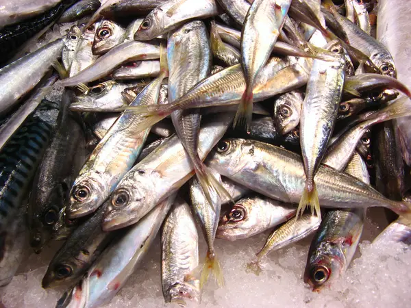 Fishes in market — Stock Photo, Image