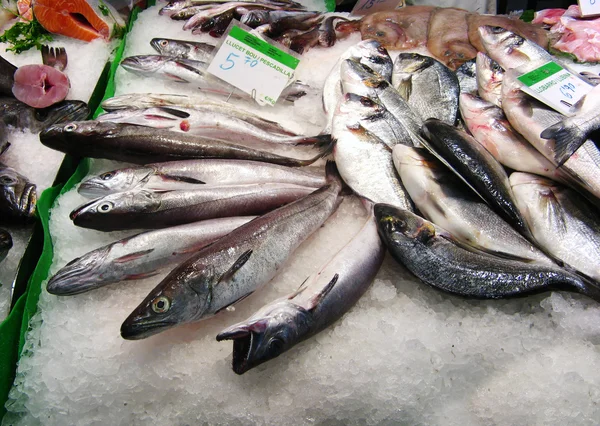 在市场中的鱼 — 图库照片