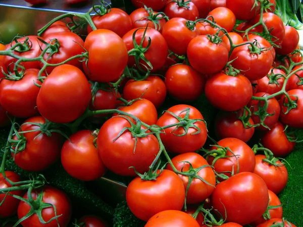 Červená rajčata na trhu — Stock fotografie