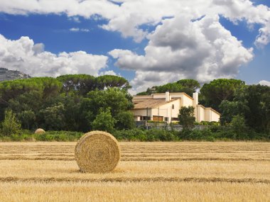 Field with a straw roll and house