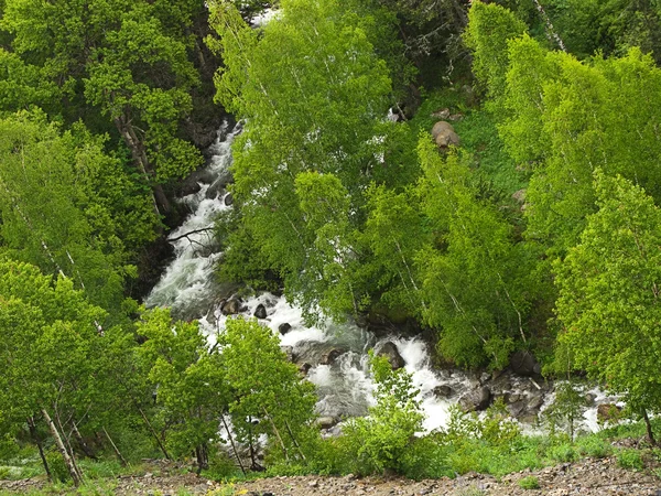 Vodopád v lese — Stock fotografie