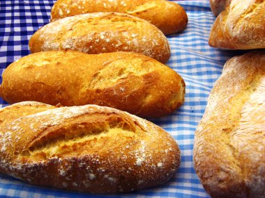 Bread still life clipart