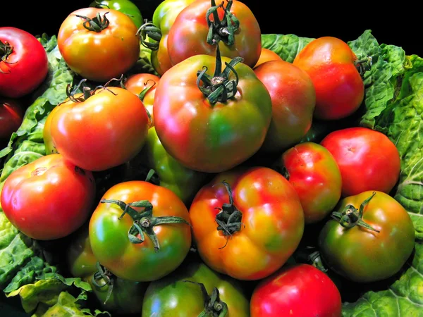 Röda och gröna tomater — Stockfoto