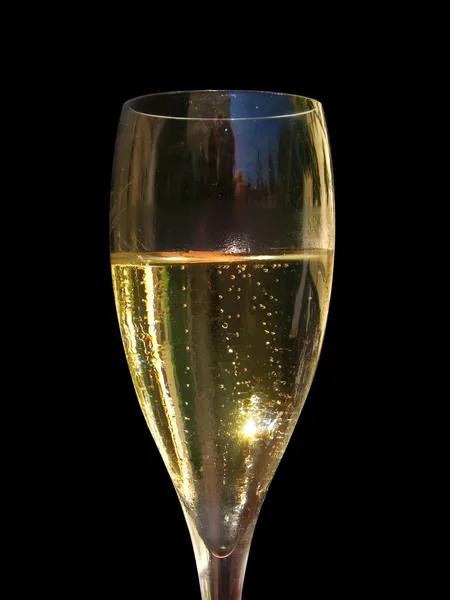 Champagne på nära håll — Stockfoto