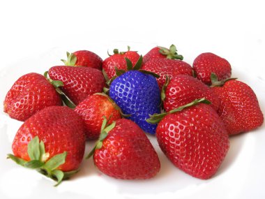 Red strawberries with a blue one. Difference and unique concept clipart