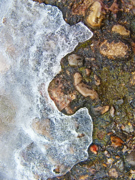 Stock image Ground covered with ice