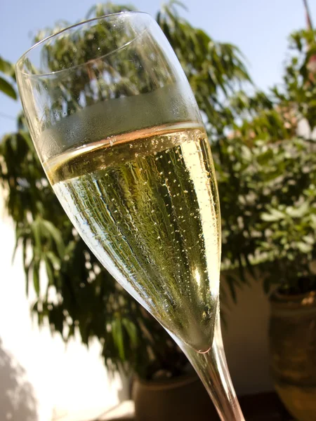 Een toast op de tuin — Stockfoto