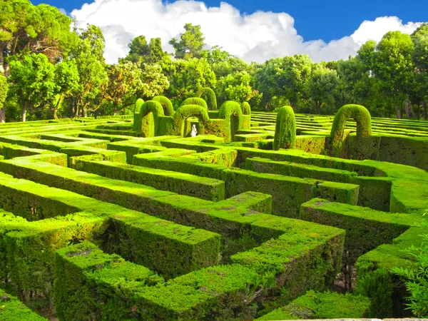 Englisches Labyrinth — Stockfoto