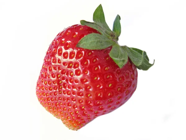 Eine einzige rote Erdbeere isoliert in weiß — Stockfoto