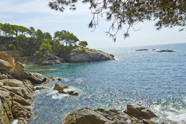 Güzel deniz ve Costa Brava (İspanya kayalarda) — Stok fotoğraf