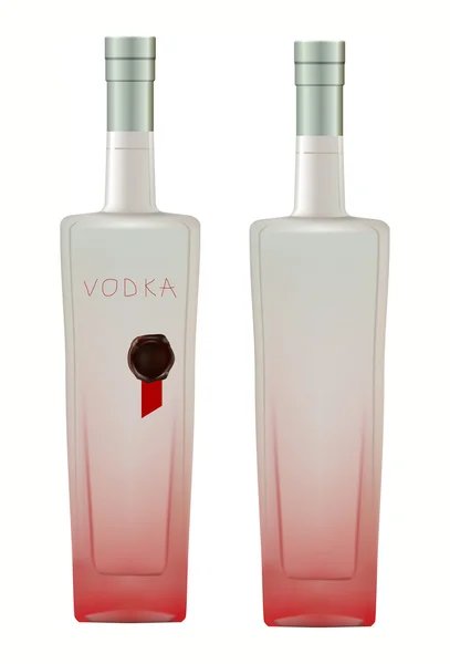 Buzlu votka şişe — Stok Vektör