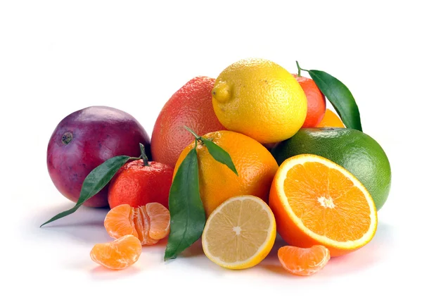 Uppsättning citrusfrukter — Stockfoto