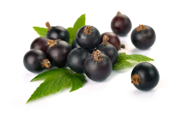 Black currants with leaves — Stock Photo, Image