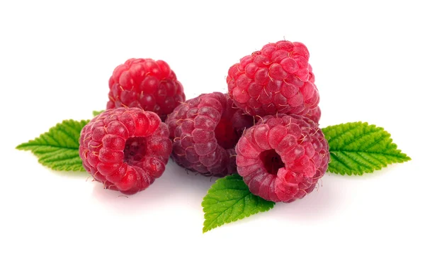 Raspberry with leaves Royalty Free Stock Images