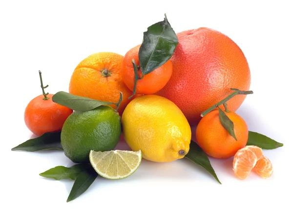 Set of citrus fruits — Stock Photo, Image
