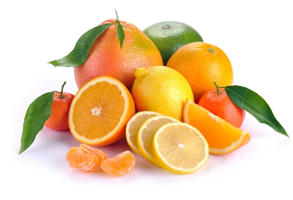 葉と柑橘系の果物のセット — ストック写真