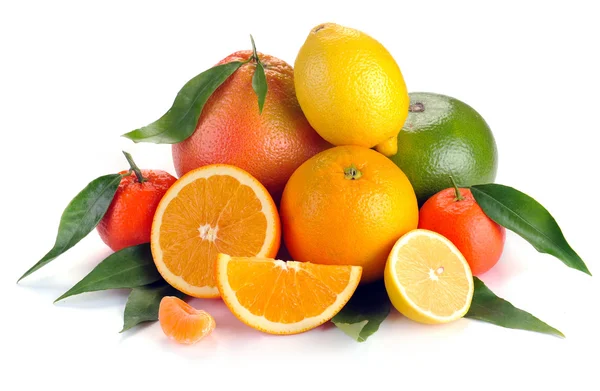Set of citrus fruit with leaves — Stock Photo, Image