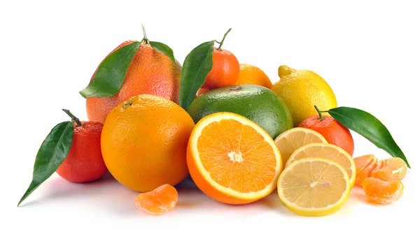 Uppsättning av citrusfrukter med blad — Stockfoto