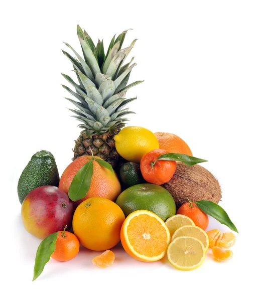 Set van citrus en tropische vruchten — Stockfoto