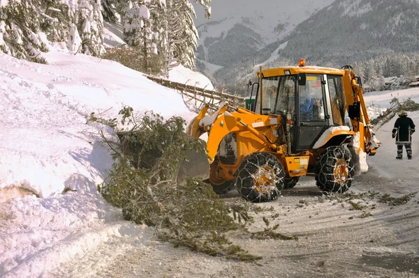 Čištění silnic sněhu a padlý strom — Stock fotografie