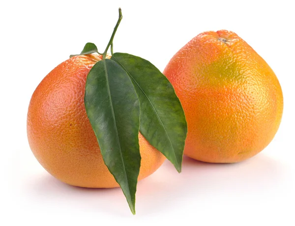 Dua buah jeruk. — Stok Foto