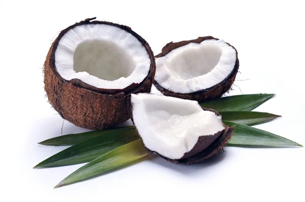 Cocco con foglie — Foto Stock