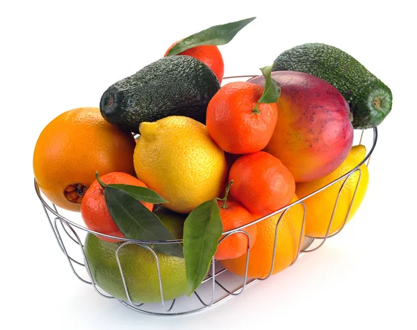 stock image Set of citrus fruits in basket