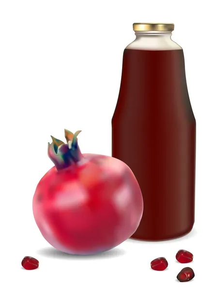 Bouteille de jus et grenade mûre — Image vectorielle
