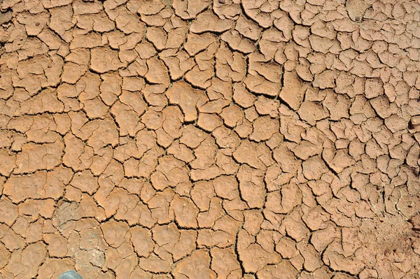 Stock image Cracked clay ground