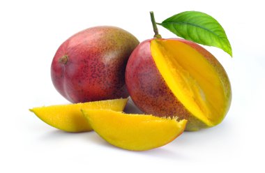 bölümü ile mango