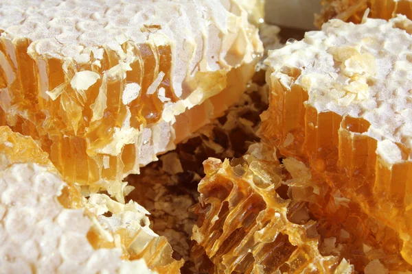蜂蜜のクローズ アップ — ストック写真